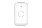 Mini Portable GPS Tracker (D30mpLLTTP)